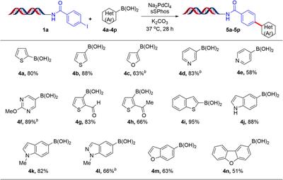 DNA-Compatible Suzuki-Miyaura Cross-Coupling Reaction of Aryl Iodides With (Hetero)Aryl Boronic Acids for DNA-Encoded Libraries